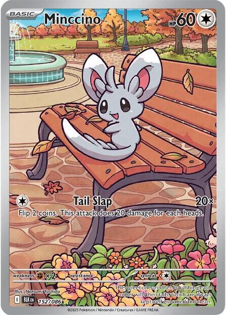 Minccino 152/086 Black Bolt